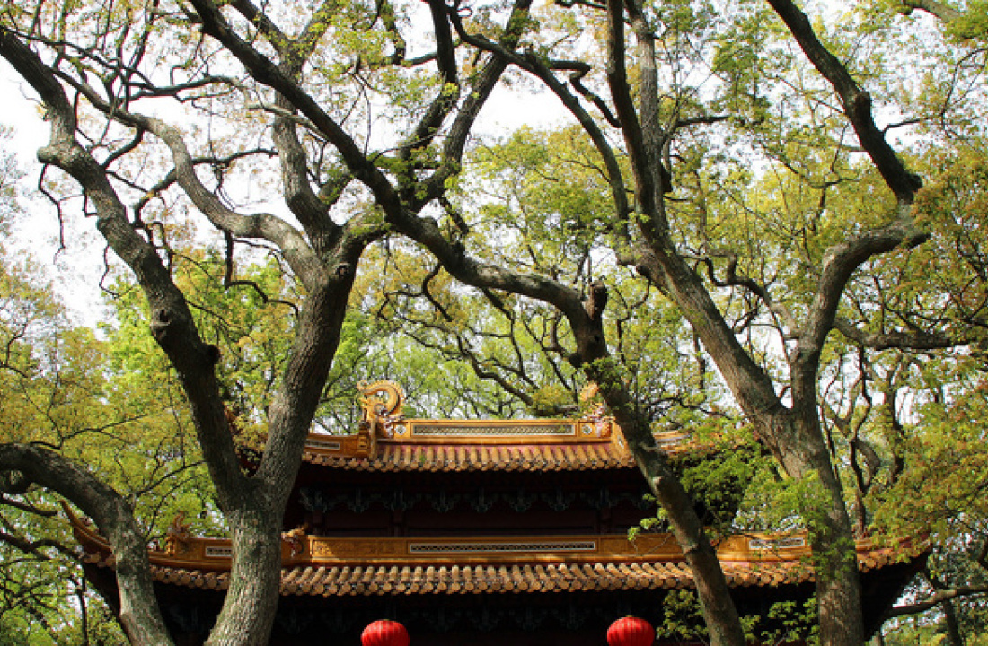 【乐品】宁波 普陀山4日3晚跟团游|【普陀祈福】华东宁波 普陀山 洛迦